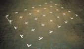Do it yourself, Freedom Territory, Antonio Dias (divulga��o)