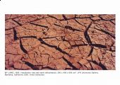Shirley Paes Leme