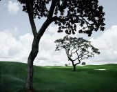 Goi�nia Golf Club, 2007, Caio Reisewitz (divulga��o)