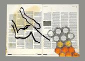 dermatogr�fico, 2010, Carlos Asp, Gerson Reichert (press)