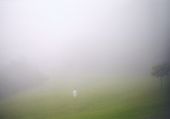 A Coleta da Neblina, 1998, Br�gida Baltar (Br�gida Baltar)