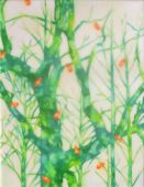 Yasuo Ogawa (divulga��o)