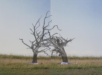 Duas rvores mortas / Two dead trees 2013 - desenho de grafite sobre fotografia impressa em papel de algodo / graphite drawing on photograph printed on cotton paper - dimenso / dimension 45x65 cm