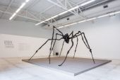 Spider, em Inhotim, 2019, Louise Bourgeois (Daniela Paoliello)