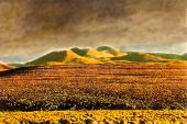 Atacama, 2020 - pastel sobre papel, 100 x 150 cm, Kilian Glasner (divulgao)