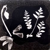 Untitled, photogram, c. 1950, Gertrudes Altschul (Gertrudes Altschul)