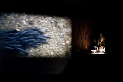 Sem ttulo, instalao com filmes s-8, Galeria Cndido Portinari, UERJ, 1999 - foto de Wilton Montenegro